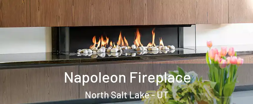  Napoleon Fireplace North Salt Lake - UT